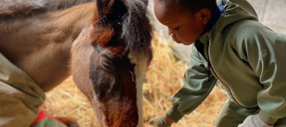 Stal aan het Enzerinck